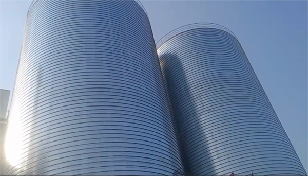 抚顺2座混凝土高架卷板仓